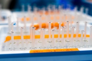 Syringe barrels in a labelled rack during early feasibility work